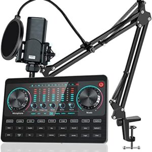 tenlamp Audio-Mixer, Podcast-Mikrofon, Live-Soundkarte mit Audio-Schnittstelle, Soundboard, Multi-Kanal-Studio-DJ-Ausrüstungs-Kit für PC, Telefon, Podcast, Live-Streaming, Aufnahme, Gaming (Black-X)