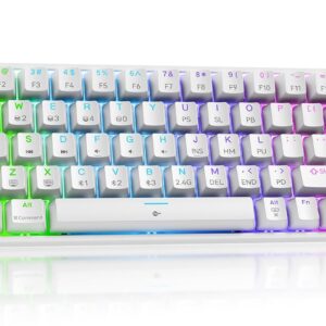 Dierya DK63 Gaming Tastatur,60% Kabellos Mechanische Tastatur mit Bluetooth/2.4G/Typ-C,Compact 63 Tasten Anti-Ghosting,RGB-Hintergrundbeleuchtung,US Layout,Linear Red Switch,weiße