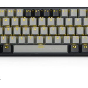 E-Yooso Z11 61 Tasten Mechanische Tastatur, Red Switches QWERTY Gaming-Tastatur Verdrahtet mit LED Hintergrundbeleuchtung, Ultra-kompakte 60-Prozent-Computertastatur für Windows (Grau Schwarz)