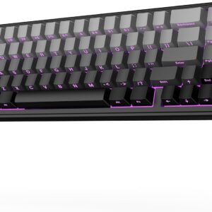 EPOMAKER x Aula F65 Mechanische Tastatur Kabellose, Custom Gaming Tastatur Gasket mit Hot-Swap-fähige, RGB, Bluetooth/2,4 GHz/Kabel, geschmierte lineare Schalter (Ombre Schwarz, Reaper Switch)
