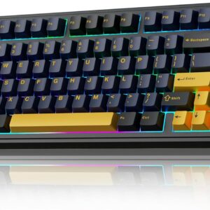AULA F75 Mechanische Tastatur Gaming,2.4GHz/Type-C/BT5.0 Mechanical Keyboard mit Knopf,Fünfschichtige Gefüllte Struktur,RGB,QWERTY,Hot-Swap,Creamy Kabellos Gaming Tastatur 75 Prozent (Schwarz)