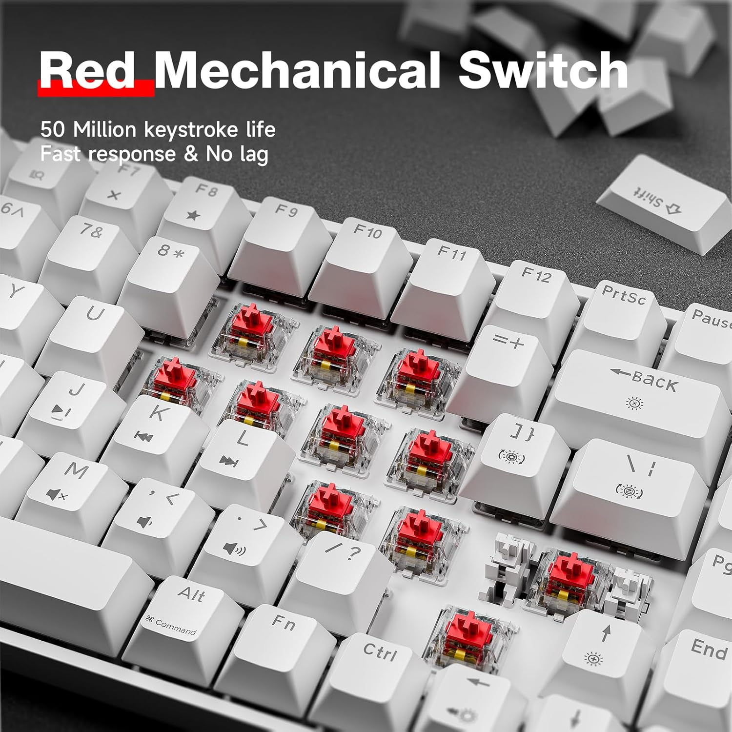 TMKB T84SE Gaming Tastatur, QWERTY US Layout, 84 Tasten Mechanische Tastatur mit Blaue LED, N-Key Rollover Red Switch Keyboard für PC Windows/Mac OS, Weiß – Bild 2