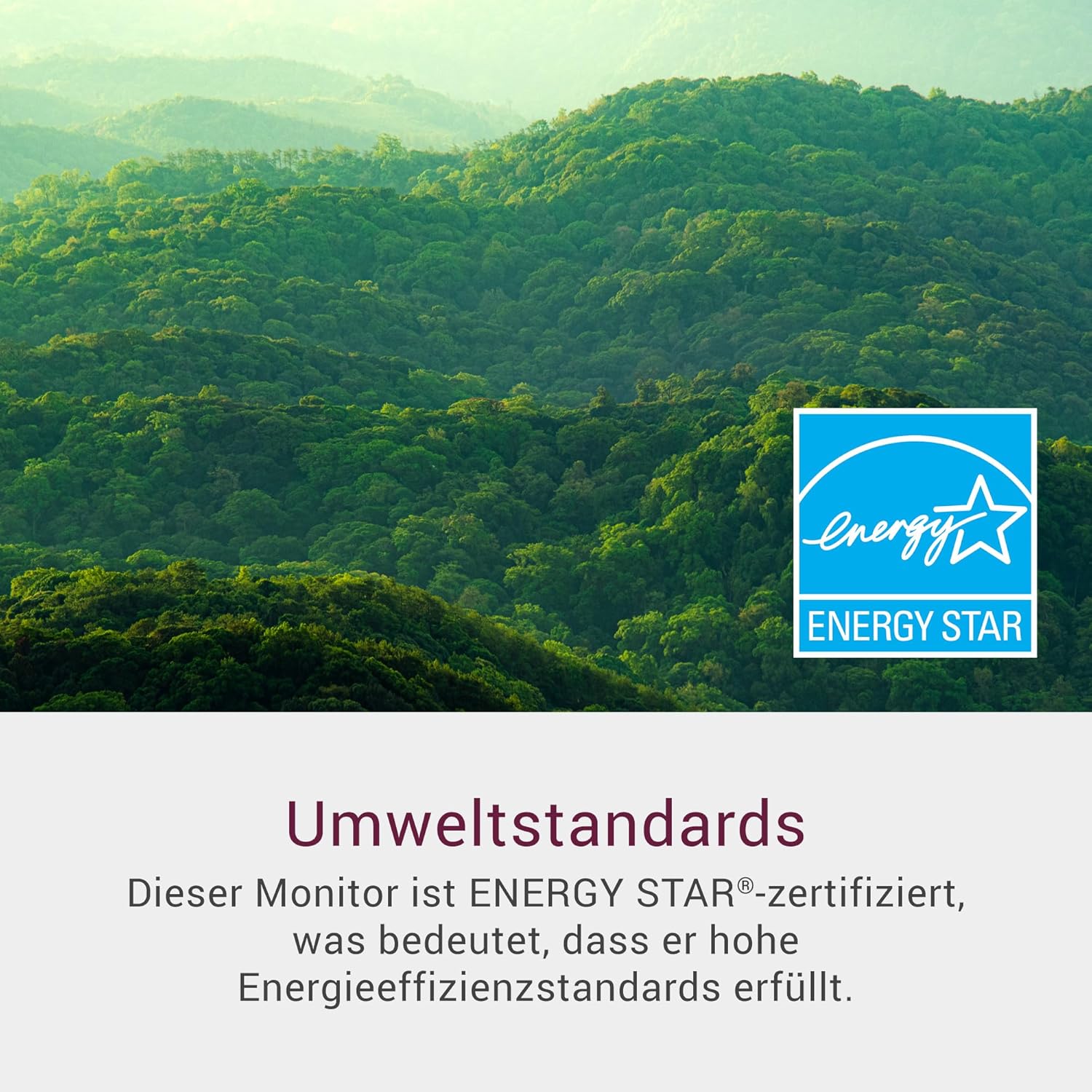 Dell 24 Monitor - SE2425HM, Full HD (1920x1080), 100Hz, IPS, 5ms, VESA (100x100mm), HDMI, VGA, 3 Jahre Garantie, Schwarz – Bild 8