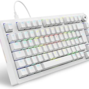 Gaming Tastatur & Maus – Sharkoon Skiller SGK25 RGB Gaming Keyboard, 75% Layout, Hot Swap, Huano RED Lubricated Switches, White