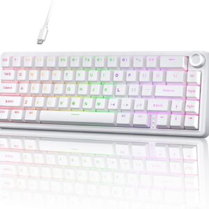 Gaming Tastatur & Maus – TMKB T68E Gaming Keyboard, 60% Mechanical Keyboard, Gasket Structure with Button, US Layout, Hot Swap, RGB, Linear Switch, 66 Keys Compact Mini Keyboard for Windows/macOS/Linux – White