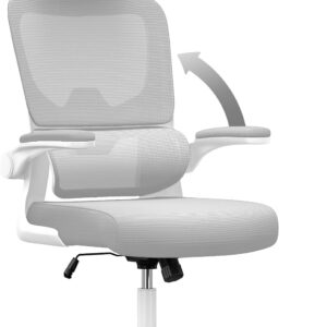 Gaming Chairs – naspaluro Office Chair, Ergonomic Desk Chair with Adjustable Headrest, Armrests, Dynamic Lumbar Support, Swivel Chair with Breathable Mesh Cover for the Home Office, Grey