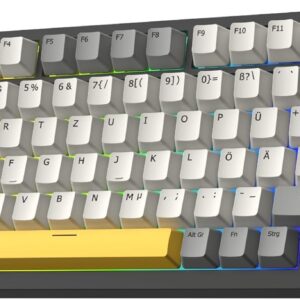 Gaming Tastatur & Maus – EPOMAKER Ajazz AK820 Pro ISO-DE Mechanical Keyboard Wireless, Wireless, Wireless, Bluetooth, 2.4 GHz, TFT Display, RGB 75% Gaming Keyboard QWERTZ DE Layout, Creamy Gasket, for Win/Mac/PC