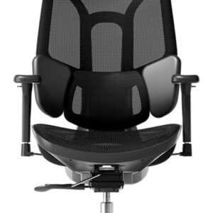Gaming Chairs – Hbada E3 Air Ergonomic Office Chair with 3-Zone Dynamic Lumbar Support, Desk Chair with 3D Adjustable Headrest, 3D Adjustable Armrests, Black