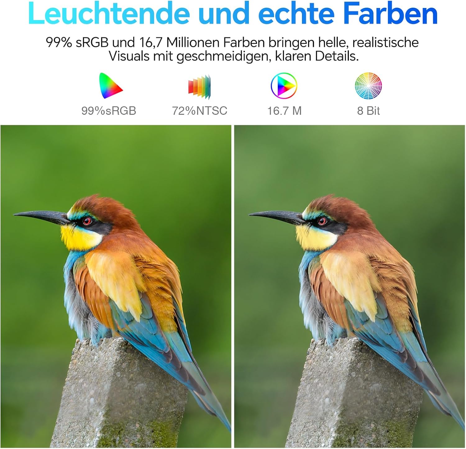 Gaming PC & Gaming Monitors - KOORUI E2212F 21.45 Inch Monitor, FHD 1920 x 1080 100Hz PC Monitor, Adaptive Sync HDMI 1.4, Eye Care Screen, -5° to 15° Tilt, VESA 100 x 100 mm – Bild 8