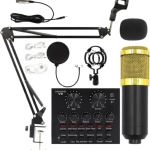 Streaming-Equipment – Aufnahme von Studio-Ausrüstung, Kondensatormikrofone, Audio-Plug-in, benutzerfreundliches Sprachpaket, direkte Streaming-Ausrüstung für Podcaster von Anfängern