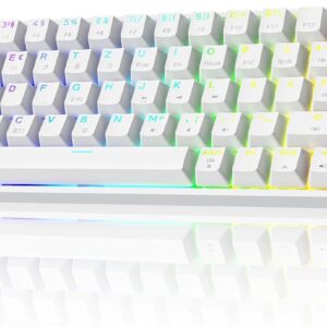 Gaming Tastatur & Maus – Dierya DK68 Wireless Gaming Keyboard German Layout QWERTZ, Bluetooth/2.4GHz/USB-C 68 Keys RGB Lighting Mechanical Keyboard, Linear Red Switch, White