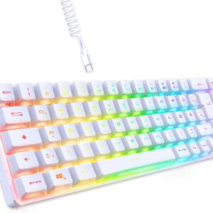 Gaming Tastatur & Maus – EMPIRE GAMING – K208 Compact TKL Wired Keyboard (DE-QWERTZ) 69 Keys RGB – Removable USB Type C Cable Plug & Play – PC/PS4/PS5/Xbox – 23 Anti-Ghosting Keys (White)