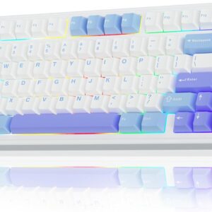 Gaming Tastatur & Maus – AULA F75 Mechanical Keyboard Gaming, 2.4 GHz/Type-C/BT5.0 Mechanical Keyboard with Button, Five Layer Filled Structure, RGB, QWERTY, Hot-Swap, Creamy Wireless Gaming Keyboard 75 Percent (Blue/Purple)
