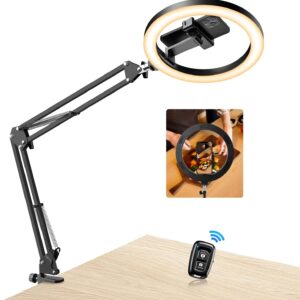 Streaming-Equipment – Evershop Ring Light with Tripod Mobile Phone Overhead, 10 Inch Ring Light with Remote Control Ring Light Flexible Streaming Table Laptop Light 3 Light Colours + 10 Brightness 360° Rotating Lighting for Tiktok YouTube