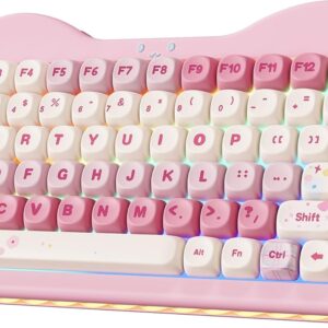 Gaming Tastatur & Maus – YUNZII C75 75% RGB Wireless Mechanical Gaming Keyboard, BT5.0/2.4G/USB-C Creamy Keyboard Hot Swap NKRO, Cute Keycaps Gasket Mount with Cute Cake for PC/Mac/Gaming (Pink, Candy Switch)