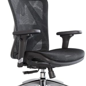 Gaming Chairs – SIHOO Ergonomic Desk Chair, Swivel Chair with Adjustable Lumbar Support, Headrest and Armrest, Height Adjustment and Rocker Function, Back-Friendly, Office Chair Load Capacity: up to 150 kg (330 lbs)