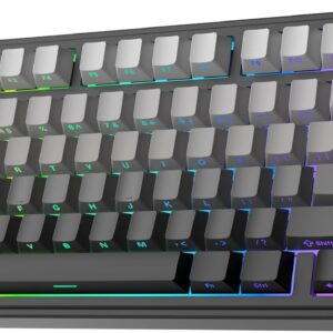 Gaming Tastatur & Maus – EPOMAKER x Aula F75 Gasket Mechanical Keyboard, 75% Hot Swap Gaming Keyboard with Five Layer Padding & Button, Bluetooth/Wireless/USB-C, RGB (Black Ombre, LEOBOG Reaper Switch)