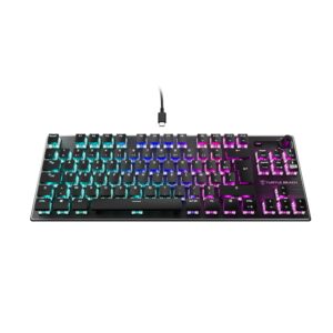 Gaming Tastatur & Maus – Turtle Beach Vulcan TKL Titanium Switch Mechanical PC Gaming Keyboard with AIMO RGB Lighting and Anodized Aluminium Cover Plate DE Layout
