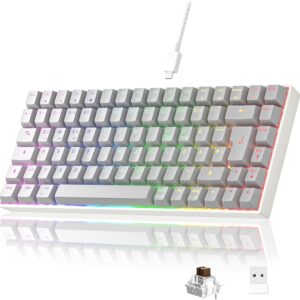 Gaming Tastatur & Maus – Newmen GM840 Mechanical Gaming Keyboard, 2.4G Wireless/Bluetooth/USB C with Cable, 75% TKL Keyboard, 84 Keys RGB Lighting, Hot Swap Mini Keyboards for PC/Win/Mac, QWERTZ Layout, Brown Switch