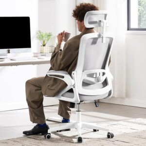 Gaming Chairs – Fizzin Ergonomic Office Chair, Computer Chairs with Adjustable Lumbar Support, Breathable Mesh Desk Chair, Ergonomic with Thickened Cushion, Comfortable Home Office Desk Chair (Grey)