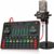 DJ Controller Audio Interface mit DJ Mixer und Soundkarte, ALL-IN-ONE Podcast Ausrüstung mit Kondensatormikrofon für YouTube, PC, Telefon, Live Streaming, Aufnahme