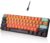 SHANGZHAOYUAN Gaming Tastatur, USB RGB-Beleuchtung Gamer Tastatur, 26 Anti-Ghosting, Red Switch, 60% QWERTY US Layout, Mechanische Tastatur Kabelgebunden 61 Tasten für PC/Windows Gamer/Büro