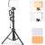 Streaming-Equipment – NEEWER BASICS BP66 LED Video Light Panel Lighting Set Two-Tone Dimmable Portable Studio Lights with Tripod and Filters 3200K ~ 5600K CRI 95 750Lux for Photography Video Recording