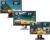 HP 22 Zoll Business Computer Monitor, Desktop Gaming Monitor, HD+ (VGA – DVI – VESA), PC Bildschirm, schwarz/Silber (Generalüberholt)