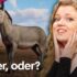 Dungeons & Dragons: Spielleitertagebuch Session 174 – Die Astralen Kinder