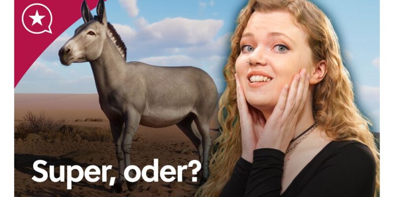Das beste Aufbauspiel, wenn mich Anno 1800 nervt